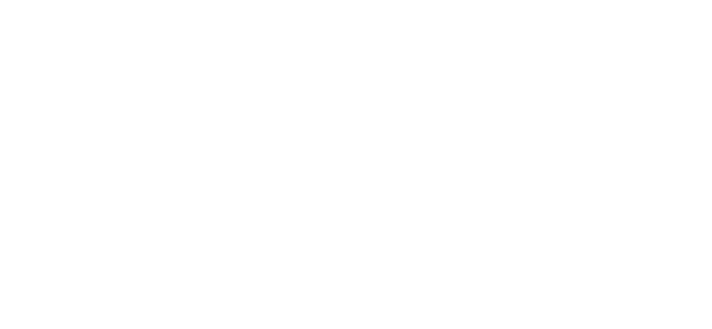 Coletivo Feminista Sexualidade e Saúde